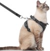 Cat Harness & Leash