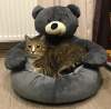 Teddy Bear Cuddler Cat Bed Dog Bed