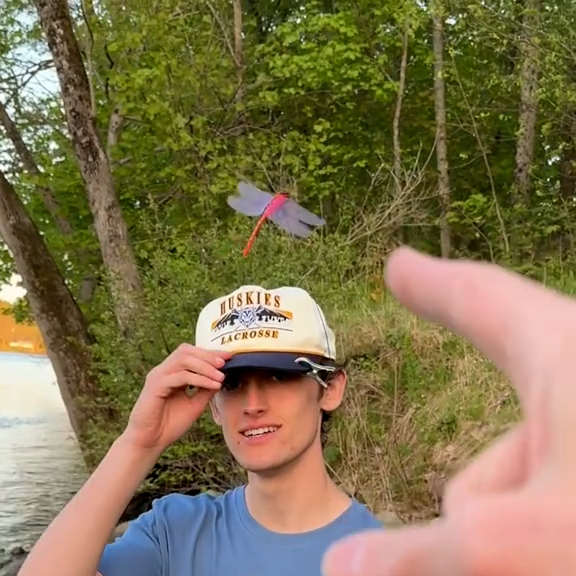 🔥Last Day: 50% Off! 🔥 Dragonfly Bug-Off Clips – Nature-Inspired Protection for Outdoor Anglers (3-Pack)