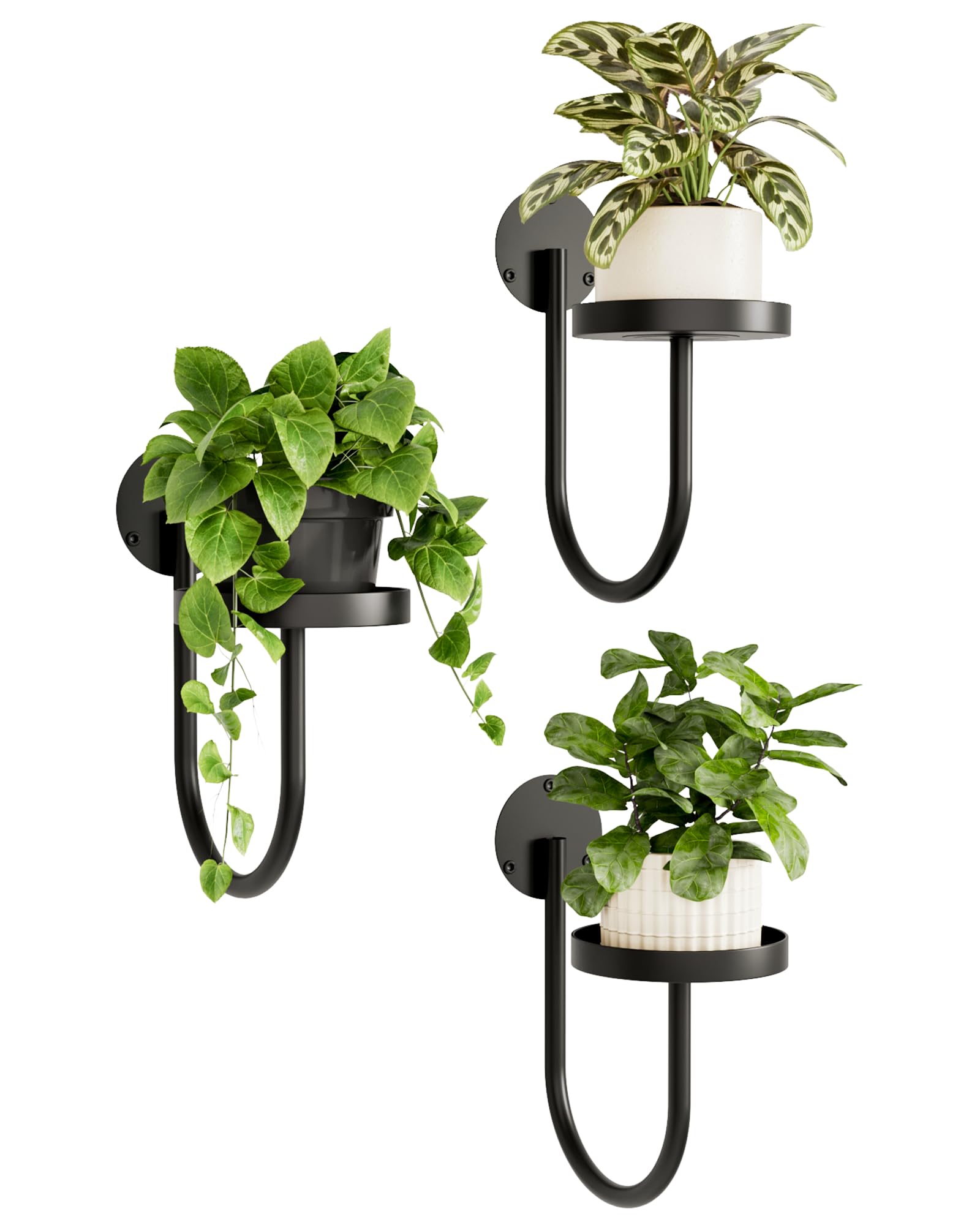 🎄TikTok Christmas Sale -70% OFF✨Wall Plant Holders Modern Indoor Window Plant Hangers