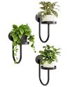 🎄TikTok Christmas Sale -70% OFF✨Wall Plant Holders Modern Indoor Window Plant Hangers