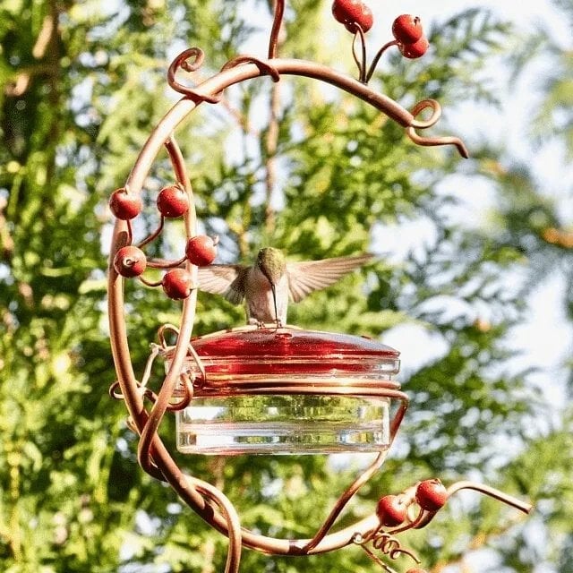 🔥Hot Sale 49% OFF-Red Berries Hummingbird Feeder