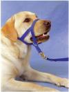 BARKLESS Soft Dog Head Collar, No Pull Training Tool for Small Medium Large Dogs on Walks, Gentle Training Collar and Control for Heavy Pullers, Includes Free Training Guide