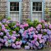 🔥Last Day Sale - 60% OFF💐Outdoor Artificial Hydrangea Flowers