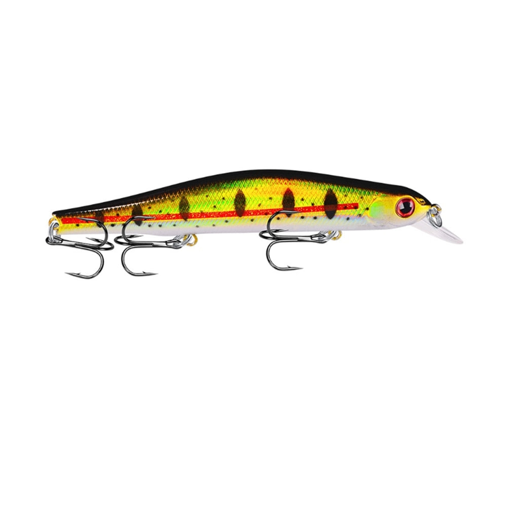 Minnow Fishing Lure