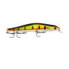 Minnow Fishing Lure