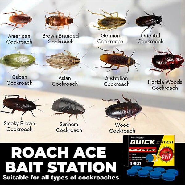 🔥Last Day Promotion 48% OFF-🎁-Roach Ace Bait Station