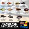 🔥Last Day Promotion 48% OFF-🎁-Roach Ace Bait Station