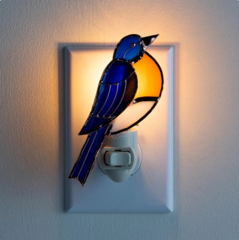 🐦Feathered Friend Night Light Collection