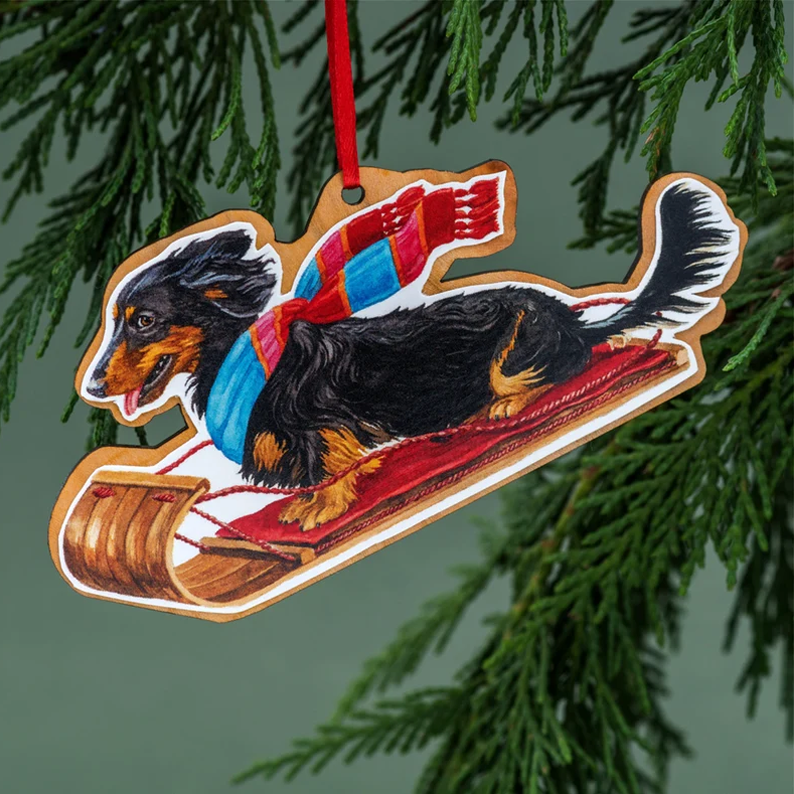 Sled Dachshund