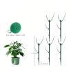 🍂TikTok Fall Mega Sale - 70% OFF🎉Plant Support Stakes🌿💖💕