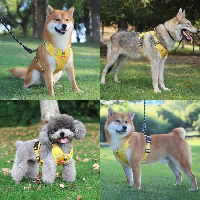 🐶 No Pull Dog Harness for Pets Easy to Put on & Take Off (Buy 2 Free Shipping)