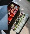 🔥Last Day 49% OFF - 🍣The Sushi Themed Chess Set♟️