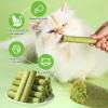 Cat Grass Teething Stick