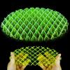 🐛Unwind With A Fidget Worm Stress Relief Toy