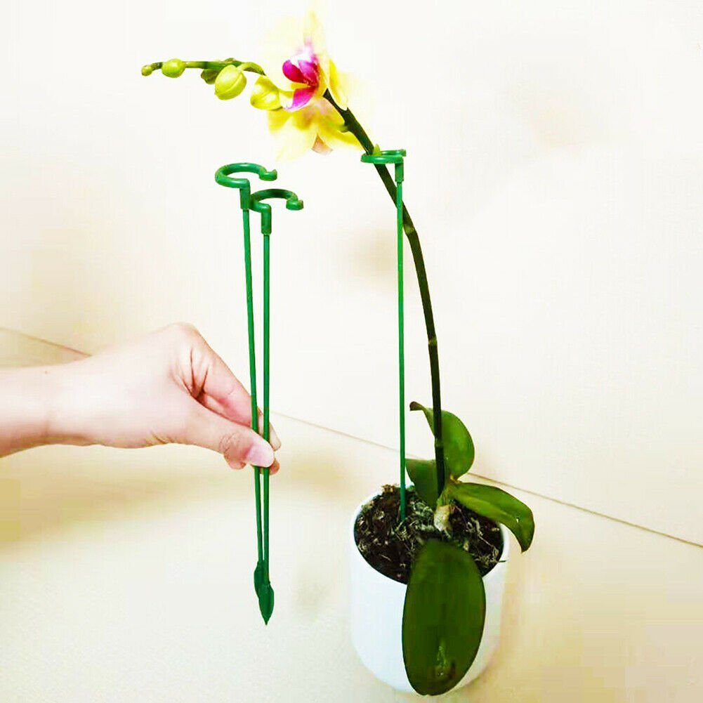 🔥Flower branch anti-lodging support rod(10 PCS)