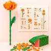 🎁TikTok Last Day Sale - 70% OFF🎉24 Day Flower Bouquet Advent Calendar &  Free Shipping