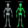 🎃Early Halloween HOT SALE 48% OFF- 5ft Halloween Hanging Luminous Skeleton  (BUY 3 Get 1 FREE&FREE SHIPPING)🎃