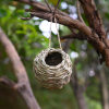 💲One Day 49% OFF🐦Hummingbird Nest House-💲Buy 2 Get 2 Free(4PCS)