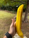 Save 60% today🍌🗡3D Printed Banana Katana