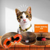 Un acheté, un offert !🔥Planche à gratter pour chat, jouet pour chat avec clochette🐾🐾