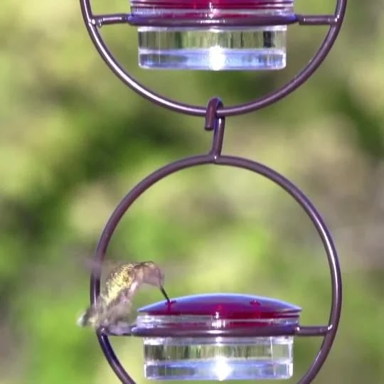 Limited Time Offer - Handcrafted Circular Hanging Hummingbird Feeder