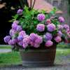 💐Outdoor Artificial Hydrangea Flowers - Buy 8 Get Extra 10% OFF & Free Shipping