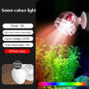 ⏰LAST DAY SALE 50% OFF💥USB LED Aquarium Spotlight