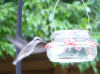 🎄Mason Jar Hummingbird Feeder