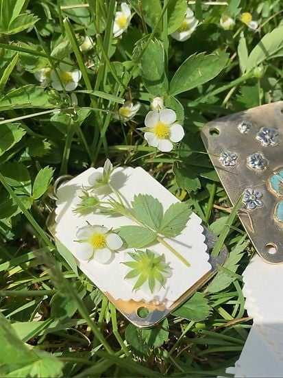 🔥Last Day 50% OFF-2025 Micro Flower Press