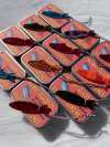 🔥LAST DAY🐟️Handmade Stained Glass Sardine Suncatcher!