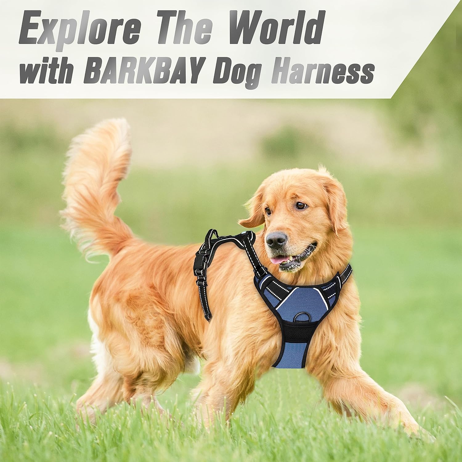 BARKBAY No Pull Dog Harness Front Clip Heavy Duty Reflective Easy Control Handle for Large Dog Walking(Black,L)