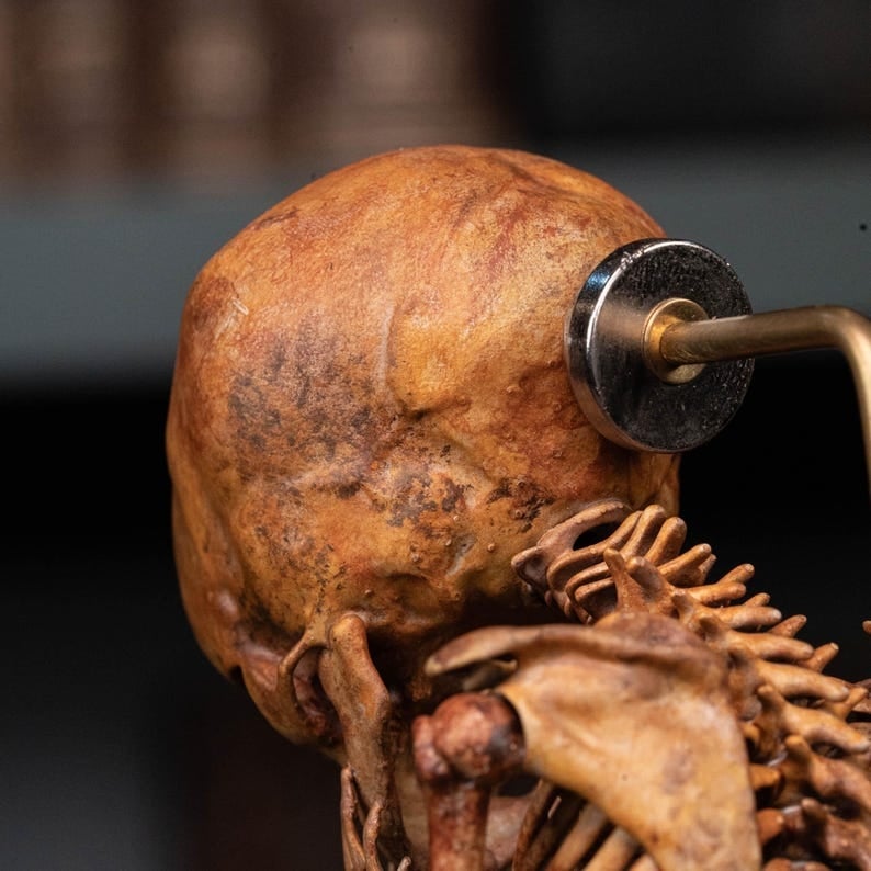 ☠️Early Halloween Special 49% OFF☠️3D Printed Human Fetus, Infant baby skeleton, hand painted figurine, creepy horror decor, curio cabinet gift