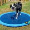 🔥Hot Sale 50% OFF 🔥Dog Splash Pad, Free Shipping