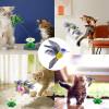 🔥Last Day 70% OFF🔥Electric Bird Teasing Cat Toy❤️Buy 2 Free Shipping