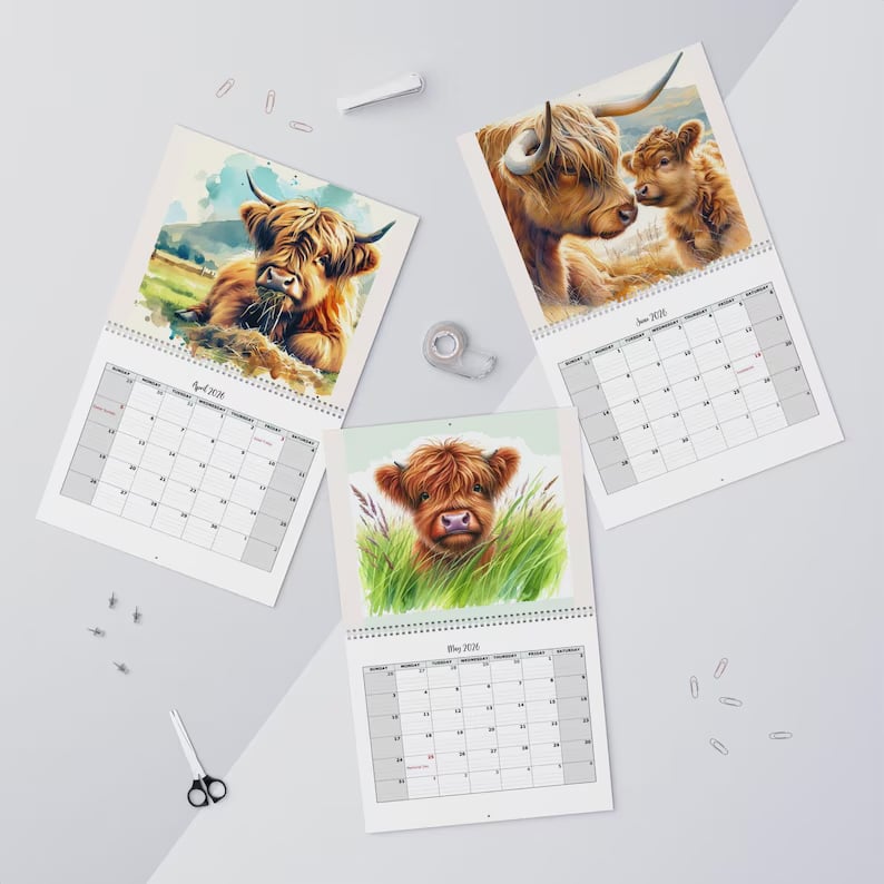 🔥Last Day Promotion 70% OFF🐮Highland Cow Calendar 2026