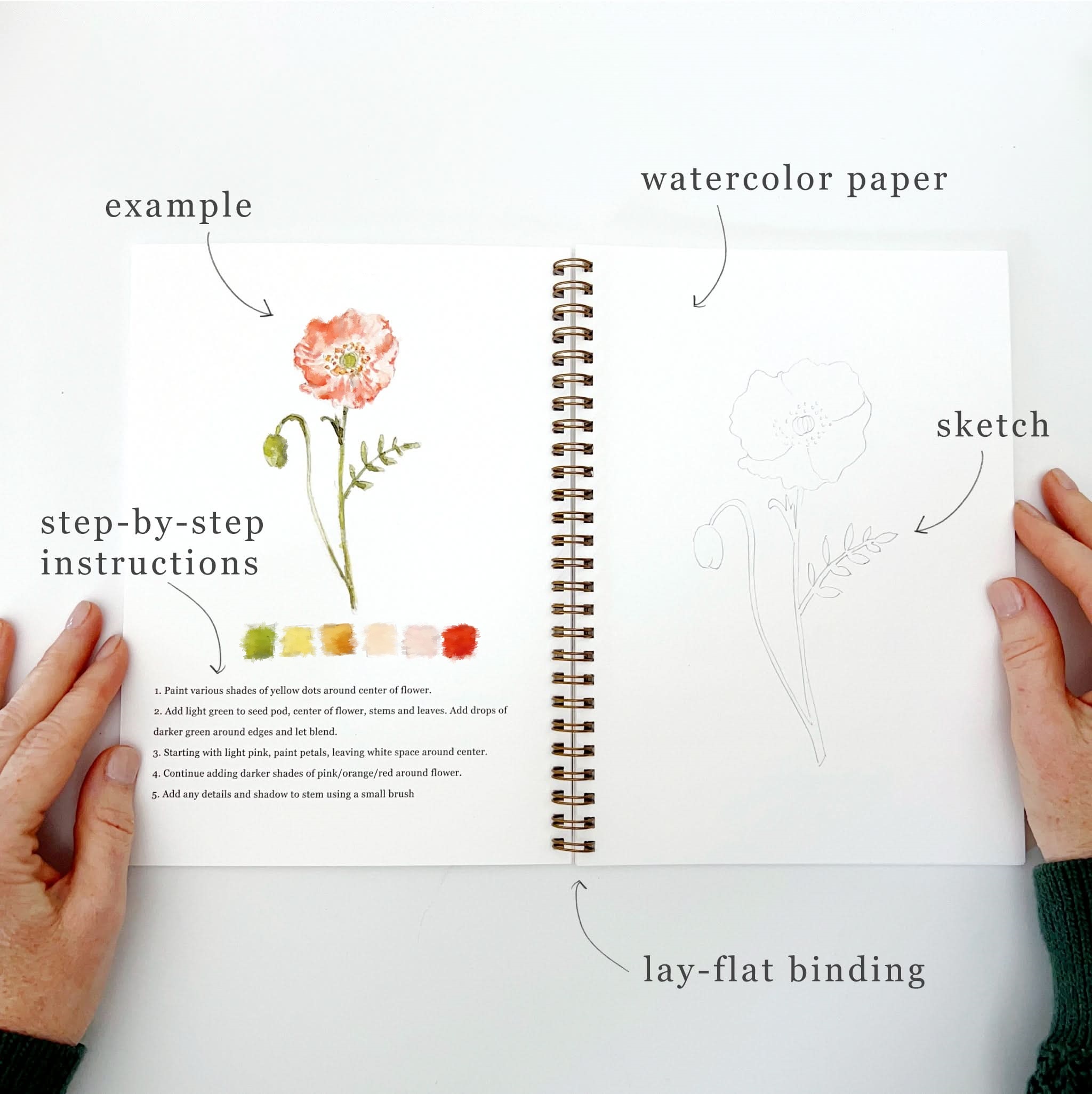 💐Flowers Watercolor workbook