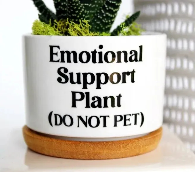 🔥New Year Promotion 50% Off-🌱Funny Plant Pot