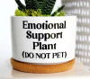 🔥New Year Promotion 50% Off-🌱Funny Plant Pot