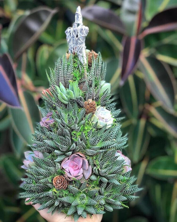 (🌲Early Christmas Sale- 50% OFF) 🎄Succulent Art Tree - Buy 2 Free Shipping