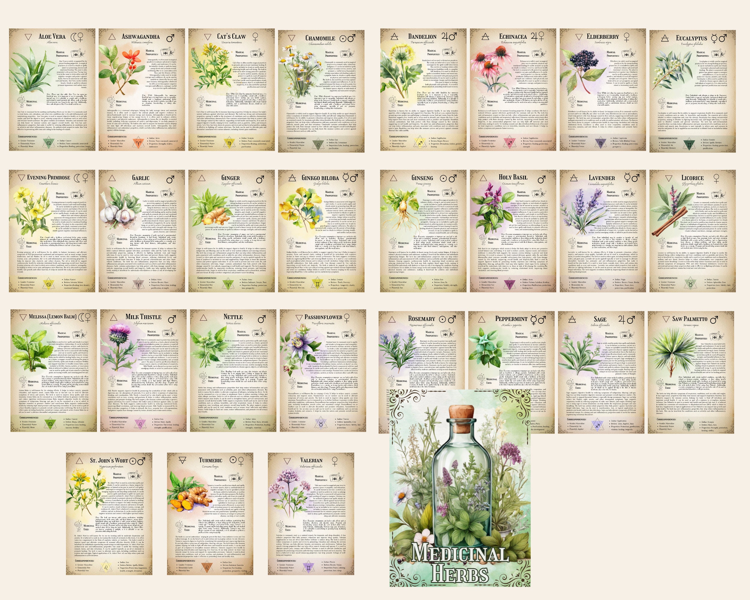 The Ultimate Medicinal Herbs Collection
