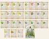 The Ultimate Medicinal Herbs Collection