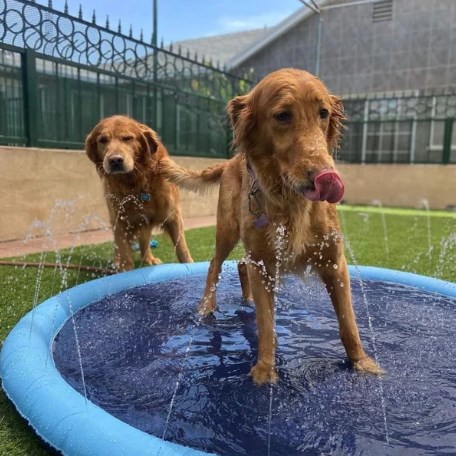 🐕Non-Slip Splash Sprinkler Pad for Pets