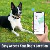 🔥Last Day Promotion- SAVE 70% OFF📲Stay Connected: AirTag Collar-BUY 2 FREE SHIPPING