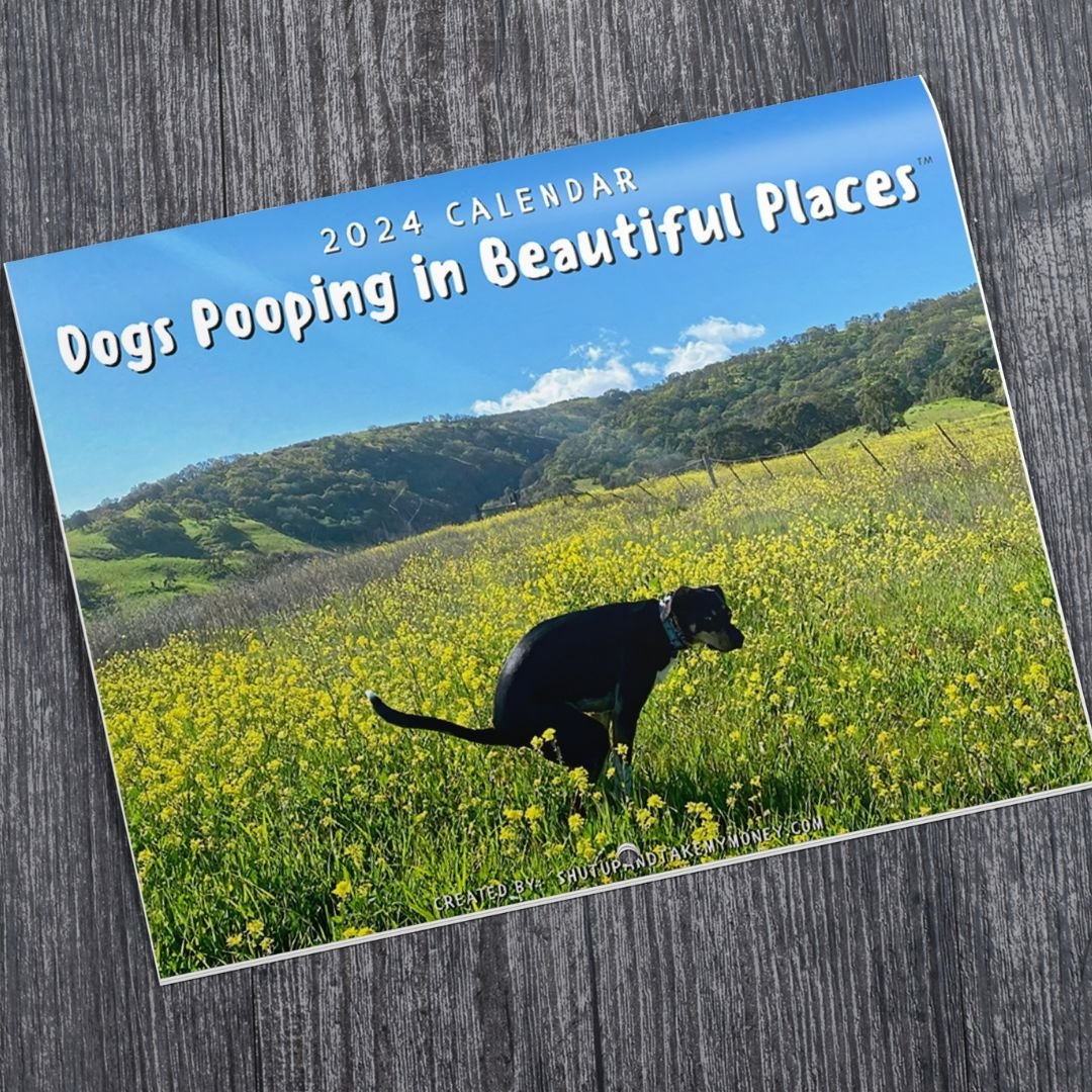 Funny Calendar Gift - 💩🐶 Dogs Pooping In Beautiful Places 2024 Calendar