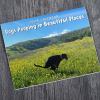 Funny Calendar Gift - 💩🐶 Dogs Pooping In Beautiful Places 2024 Calendar