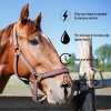 ivermectin Horse Paste 1.87% 6.08g Tubes