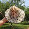 🎁TikTok Last Day Sale - 70% OFF🎉2 in 1 Portable Bamboo Sun Hat for Women