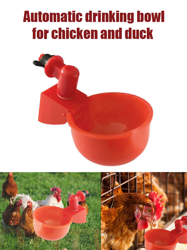 (🌲Early Christmas Sale- 48% OFF)Automatic Poultry Water Bowl 5Pcs/set(buy 4 sets get free shipping)