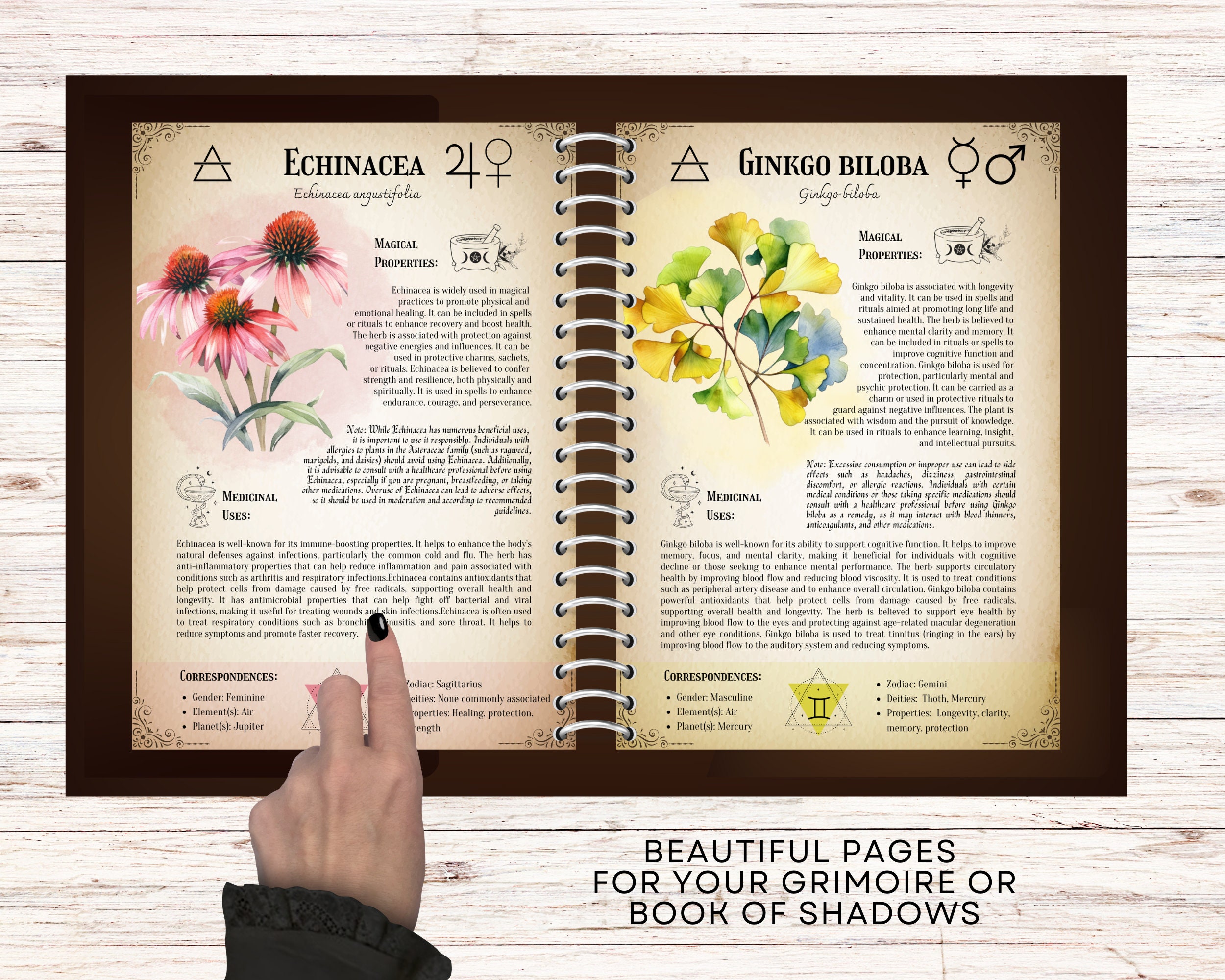 The Ultimate Medicinal Herbs Collection